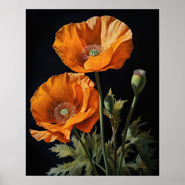 Orange California Poppy Flowers Art Print Poster (Front)