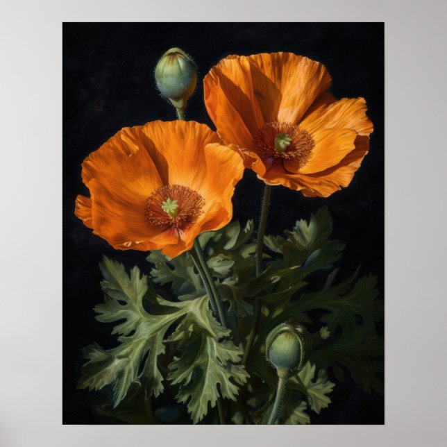 Orange California Poppy Flowers Art Print Poster (Front)