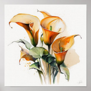 Orange Calla Lilies Lily Flower Art Print Poster