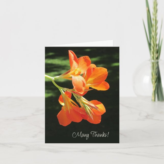 Orange Canna Lily Blank Thank You Card (Front)