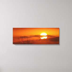 Orange Canvas Print