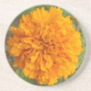 Orange Carnation coaster