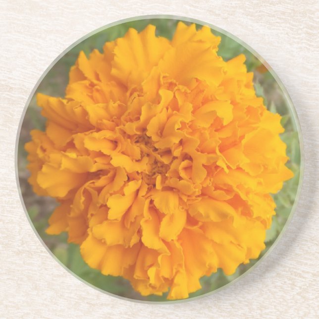 Orange Carnation coaster (Front)