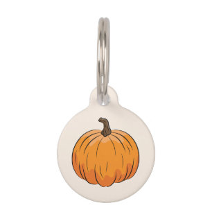 Orange Cartoon Autumn Pumpkin Illustration Pet Tag