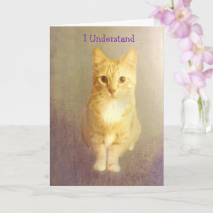 Orange Cat Cancer Encouragement  Card