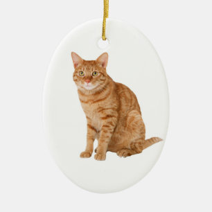Orange Cat Ceramic Tree Decoration