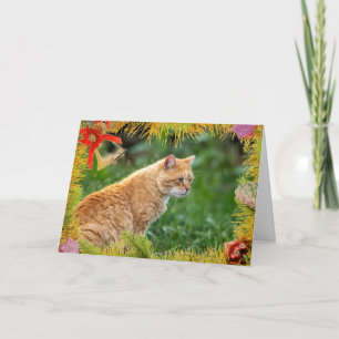 Orange Cat Christmas Card