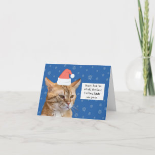 Orange Cat Christmas Card
