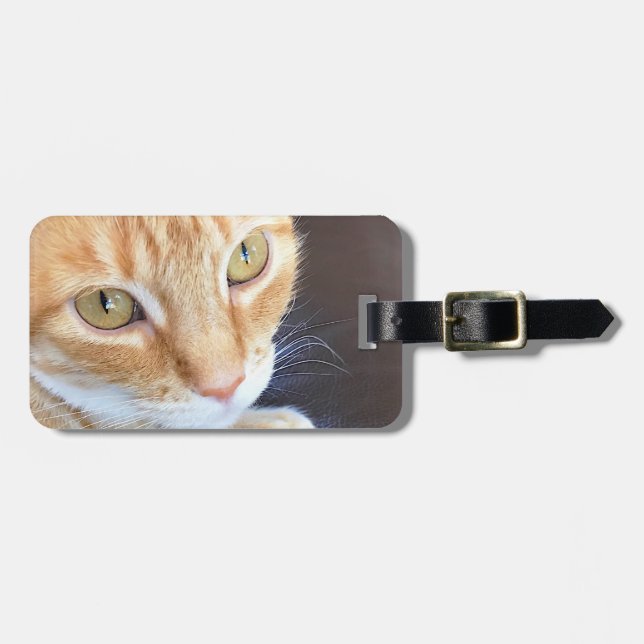 Orange cat closeup luggage tag (Front Horizontal)