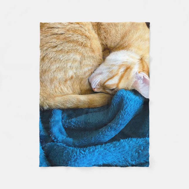 Orange cat curled up on blanket (Front)