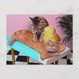 Orange cat enjoying a massage by a cat postcard