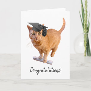 Orange Cat Graduation Card