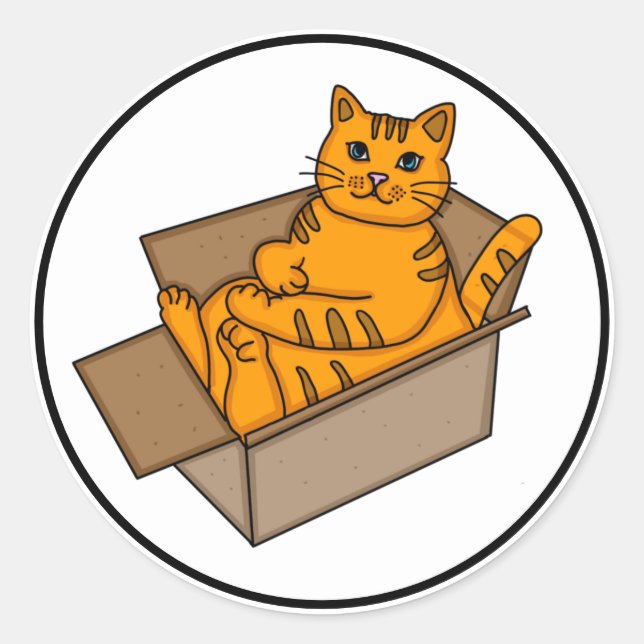 Orange Cat in a Box Funny  Classic Round Sticker (Front)