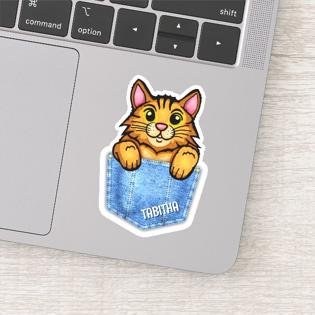 Orange Cat in Faux Denim Pocket with Custom Name (Detail)