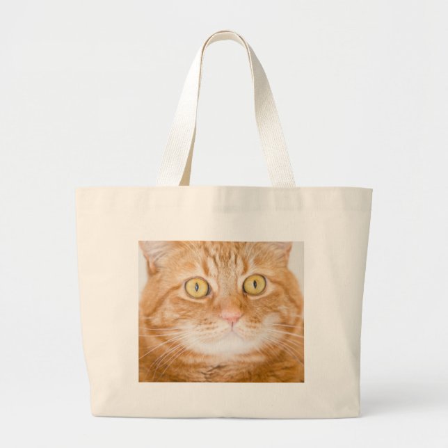Orange cat large tote bag (Front)