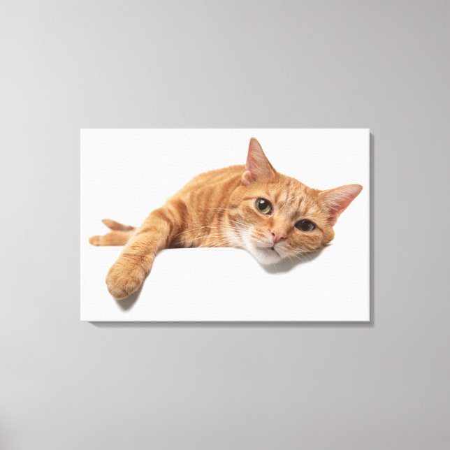 Orange Cat Laying Down Canvas Print (Front)