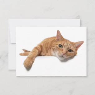 Orange Cat Laying Down Invitation