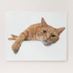 Orange Cat Laying Down Jigsaw Puzzle