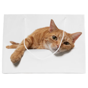 Orange Cat Laying Down Large Gift Bag