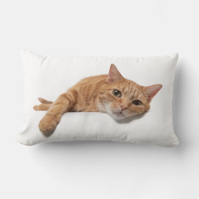 Orange Cat Laying Down Lumbar Cushion (Front)