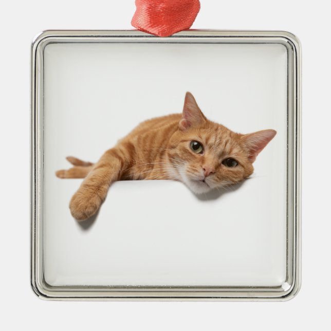 Orange Cat Laying Down Metal Tree Decoration (Front)