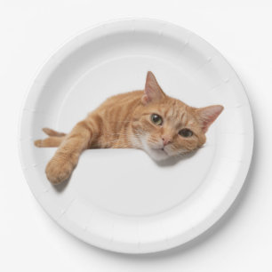 Orange Cat Laying Down Paper Plate