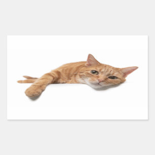 Orange Cat Laying Down Rectangular Sticker