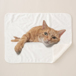Orange Cat Laying Down Sherpa Blanket