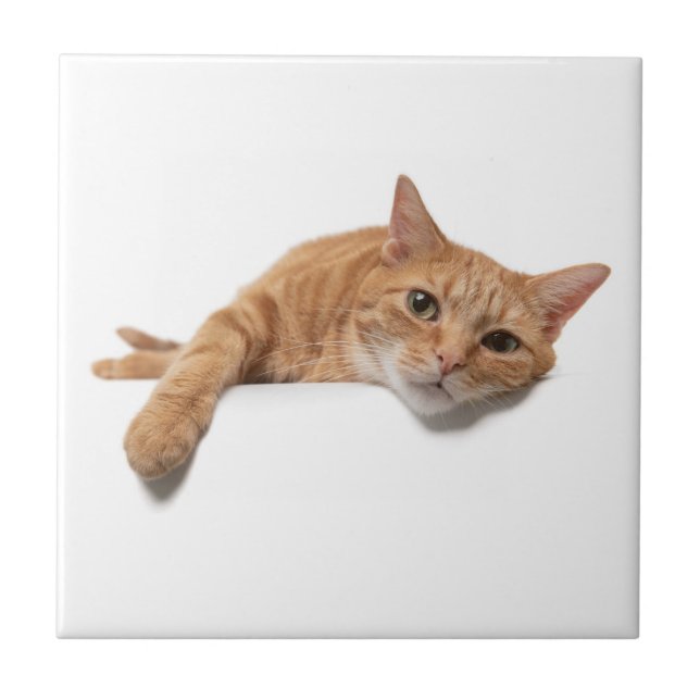 Orange Cat Laying Down Tile (Front)