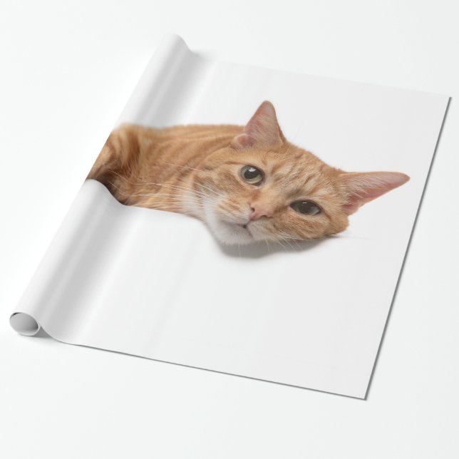 Orange Cat Laying Down Wrapping Paper (Unrolled)