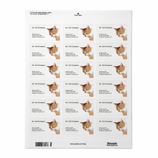 Orange cat low polygon label (Full Sheet)