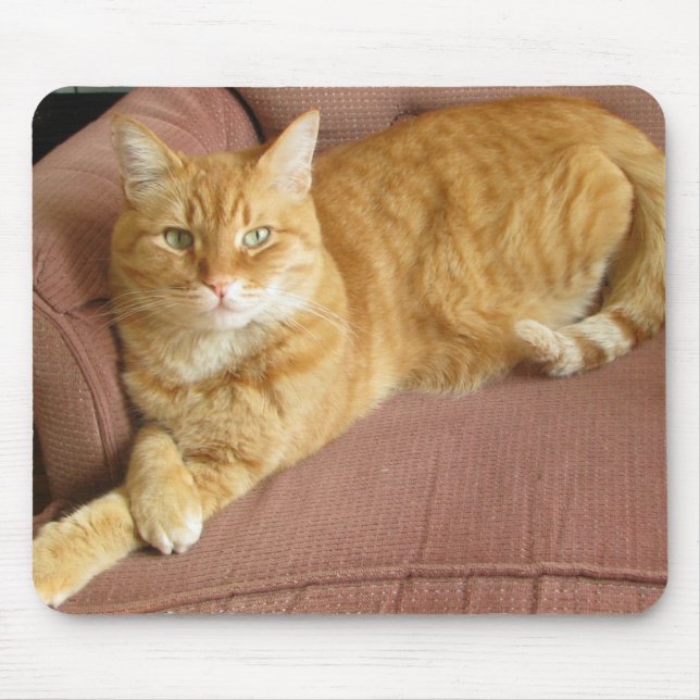 orange cat mouse mat (Front)