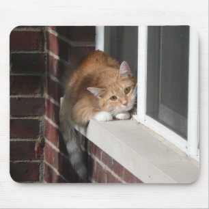 Orange Cat Mouse Mat