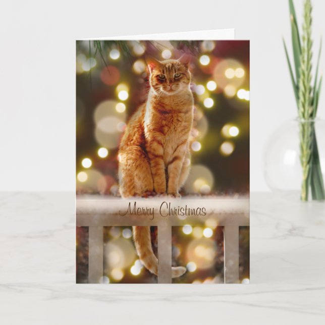 Orange Cat on a Fence with Christmas Lights  Card (Front)