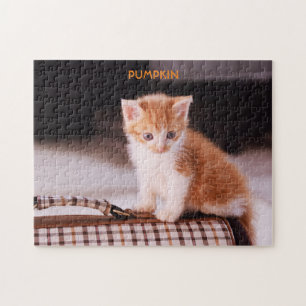 Orange cat on a pet carrier / Orange Kitten  Jigsaw Puzzle