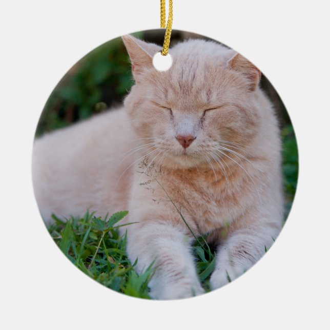Orange Cat Ornament (Front)