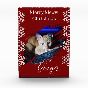 Orange Cat Photo Text Customize Block