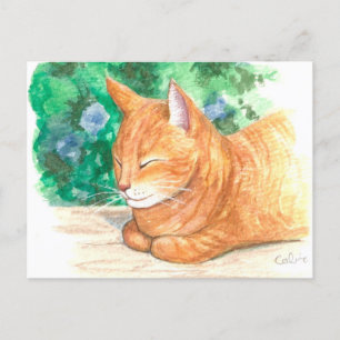 "Orange Cat Relaxing." Postcard