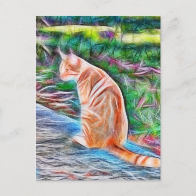 Orange cat sitting on a path post card (Front)