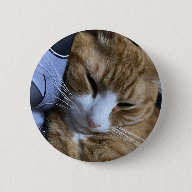 Orange Cat Sleeping 6 Cm Round Badge (Front)