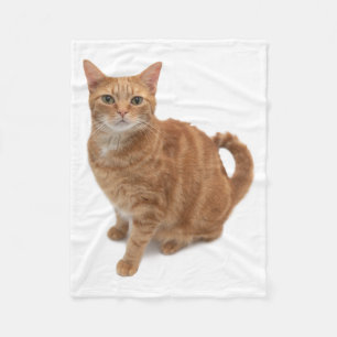 Orange Cat Standing Fleece Blanket