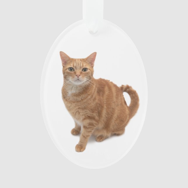 Orange Cat Standing Ornament (Front)