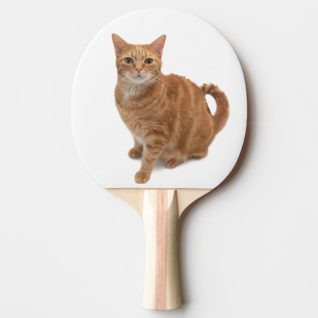 Orange Cat Standing Ping Pong Paddle (Front)