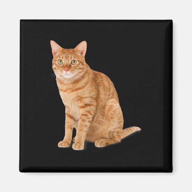 Orange Cat Tab Funny Cat Parody Cat Lover Gift Kit Magnet (Front)