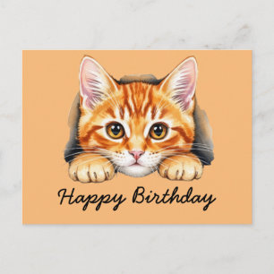 Orange cat Tabby cat Happy Birthday Postcard