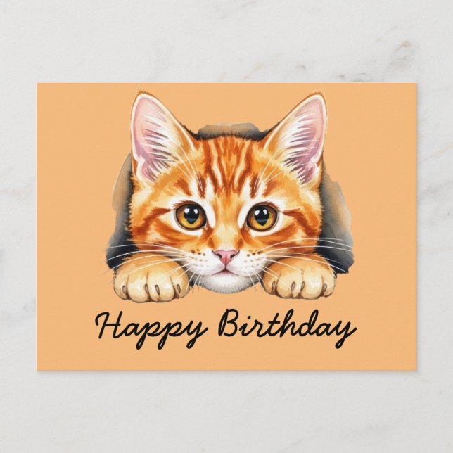 Orange cat Tabby cat Happy Birthday  Postcard (Front)