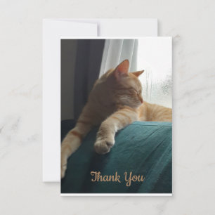 Orange Cat Thank You Card