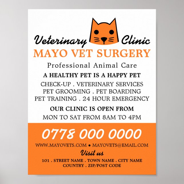 Orange Cat, Veterinarian, Veterinary Service Poster (Front)