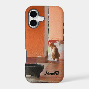 Orange Cat with Attitude, El Gato