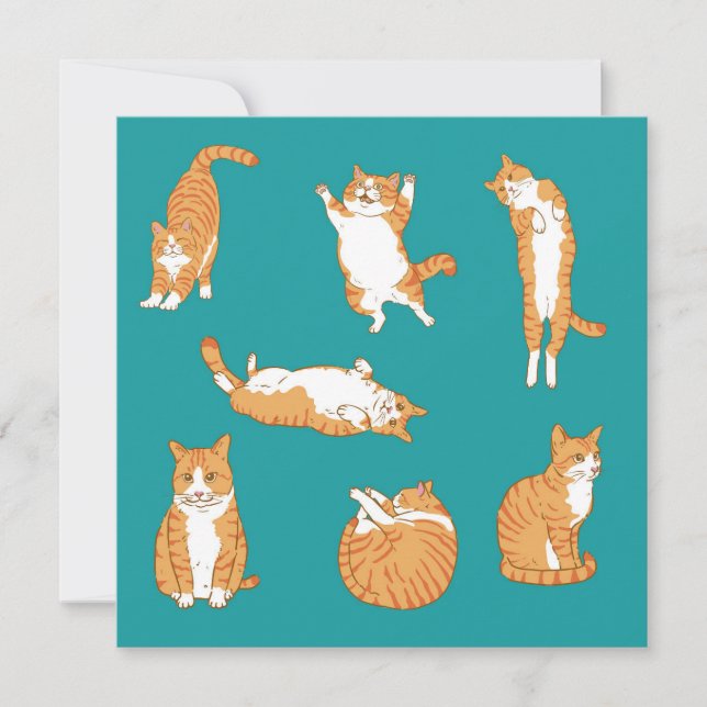  Orange Cats Funny Birthday Card (Front)